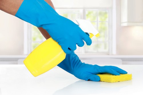 Customer complaint review for deep cleaning service