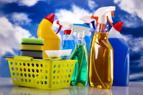 Professional deep deep cleaning service restoring a spotless interior