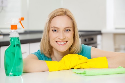 Local cleaners in Deep working in a residential property