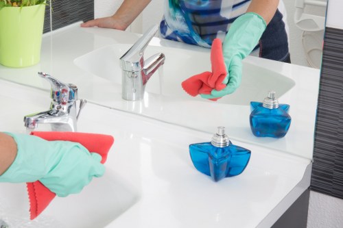 Deep deep cleaning of a bright living space with dust removal