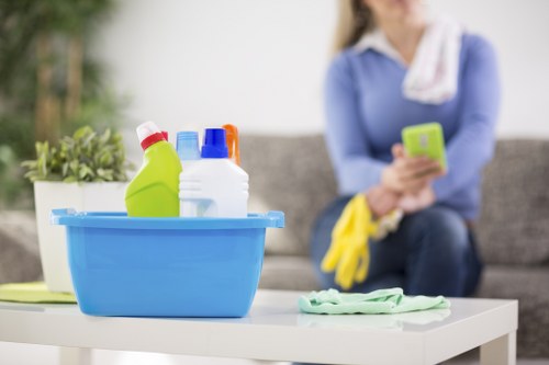 Detailed cleaning team focusing on hidden dust and buildup