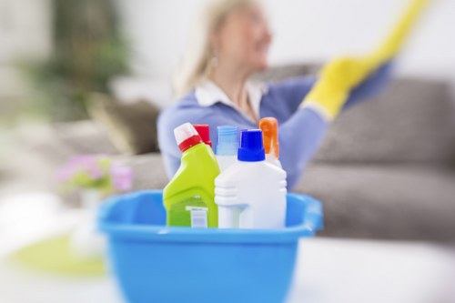 Deep rug cleaning process with careful fibre-safe treatment