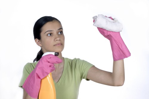 Professional removal of grease and burnt-on residue from an oven