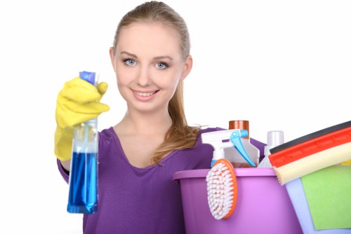 Professional cleaners handling bathrooms and detailed home cleaning in Deep