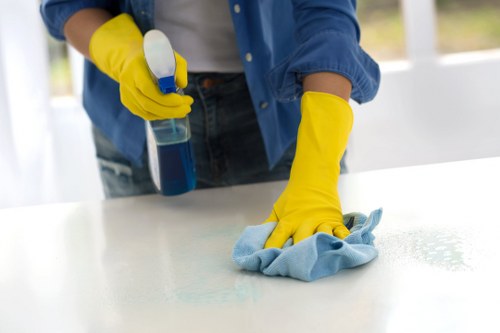 Cleaner working on residential windows in Deep near access paths