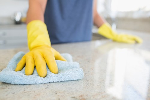 Trusted Deep Deep Cleaning checkout security measures