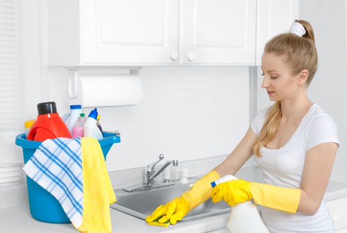 Final deep deep cleaning touches for a fully refreshed room