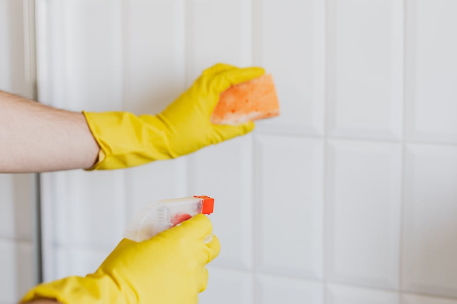 Behind the scenes of a professional deep cleaning schedule
