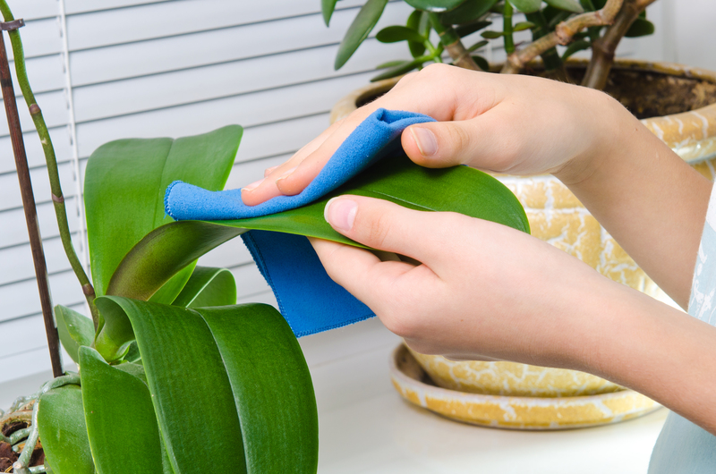 house cleaning home cleaning