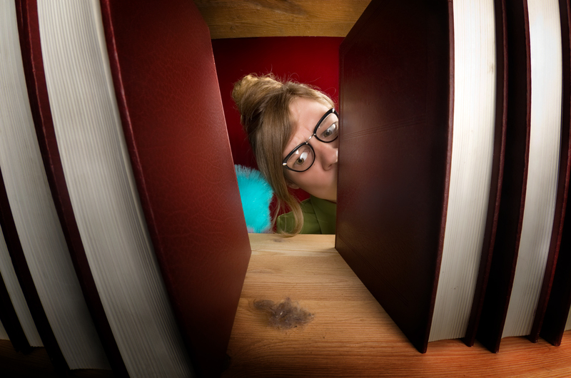 Carpet cleaning carpet cleaners